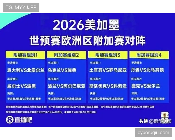 波黑冲击2026世界杯前景分析：能否时隔12年重返决赛圈